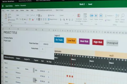 Microsoft excel online project 库存照片