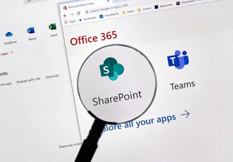MIcrosoft Office 365 Stock Photos