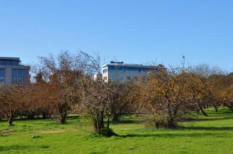 Microsoft office building Stock-Fotos