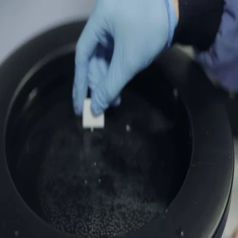 Microtomist Separating Tissue Samples in a Tissue Float Bath Stock Footage 69285662