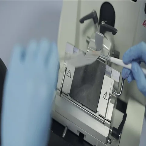 Microtomist Transferring a Strand of Tissue Samples into a Tissue Float Bath Stock Footage 69285908