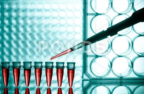 Microtubes Stock Photos