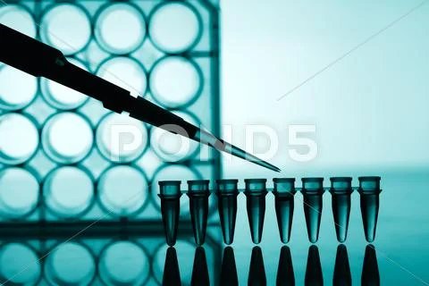 Microtubes Stock Photos