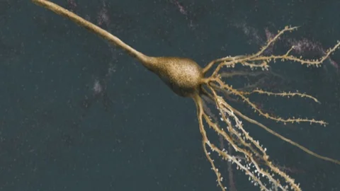 Microtubule Disassembly Video stock 90866224