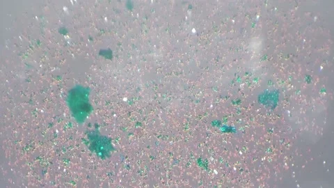 Microzyme whole mount under microscope 100x filmed with cross light Stock Footage 211496855