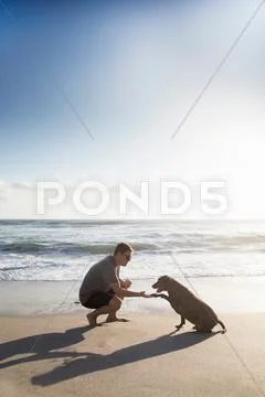 Mid Adult Man And Dog On Beach, Man Shaking Hands With Dog
