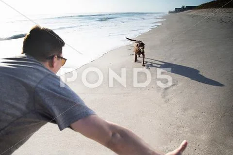Mid Adult Man And Dog, Playing Together On Beach