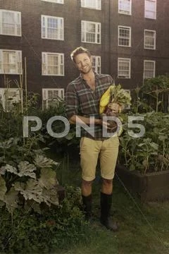 Mid Adult Man With Harvested Beetroot On Council Estate Allotment