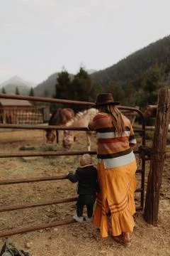 Mid adult mother with toddler daughter looking at horses in paddock, rear view, Stock Photos