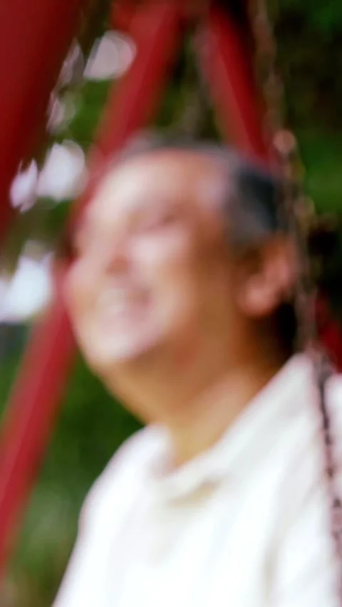 Mid age Indian couple in the park, smiling, chatting Stock Footage 343360766