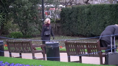Mid age lady walking in a park in London during winter Stock Footage 89782225