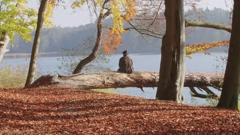 A Mid Aged Man Looks over a Autumnal Lake. He sits on a fallen tree. Stock-Footage 76209512