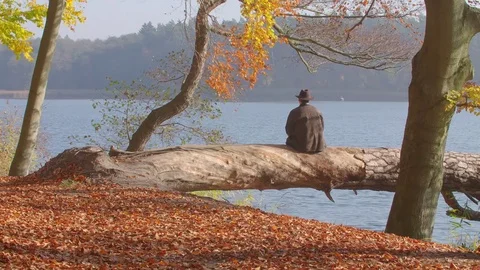 A Mid Aged Man Looks over a Autumnal Lake. Stock-Footage 76714300