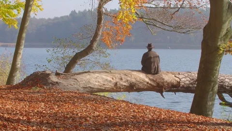 A Mid Aged Man is Waiting. He Looks over a Autumnal Lake. Stock-Footage 76693966