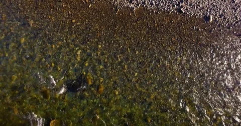 Mid air flight over fresh and clean mountain river at sunny summer morning Stock Footage