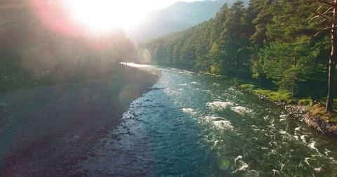 Mid air flight over fresh and clean mountain river at sunny summer morning Video stock 78089609