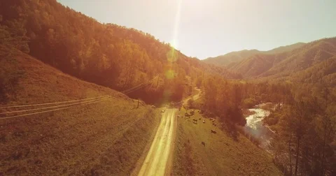 Mid air flight over fresh mountain river and meadow at sunny summer morning Stock Footage