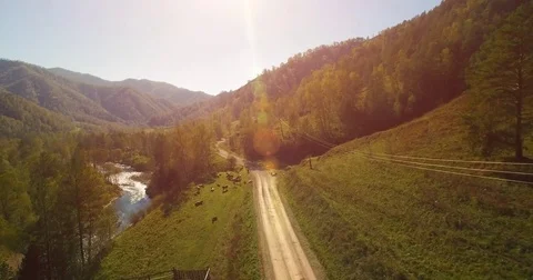 Mid air flight over fresh mountain river and meadow at sunny summer morning Stock Footage