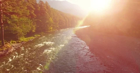 Mid air flight over fresh and clean mountain river at sunny summer morning Stock Footage 79831701