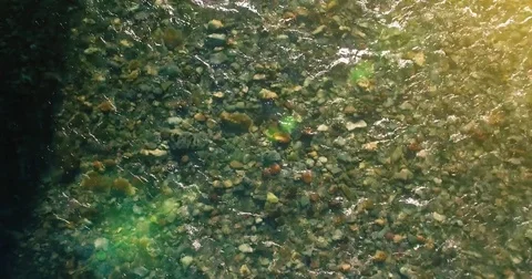 Mid air flight over fresh and clean mountain river at sunny summer morning. Top Stock Footage