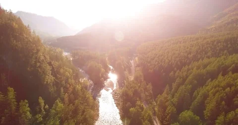 Mid air flight over fresh mountain river and meadow at sunny summer morning Stock Footage 85346763