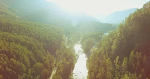 Mid air flight over fresh mountain river and meadow at sunny summer morning Stock Footage 90253922