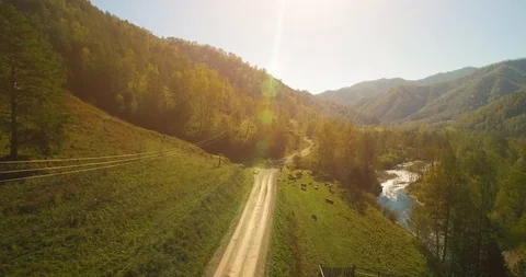 Mid air flight over fresh mountain river and meadow at sunny summer morning Stock Footage 113590618