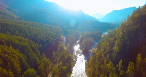 Mid air flight over fresh mountain river and meadow at sunny summer morning Stock Footage 115084663