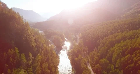 Mid air flight over fresh mountain river and meadow at sunny summer morning Stock Footage 115084703