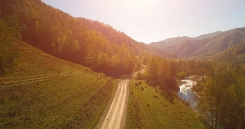 Mid air flight over fresh mountain river and meadow at sunny summer morning Stock Footage 115084803