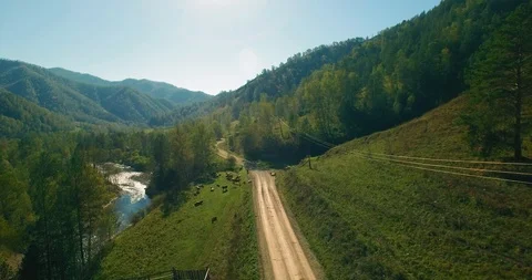 Mid air flight over fresh mountain river and meadow at sunny summer morning Stock Footage 115085372