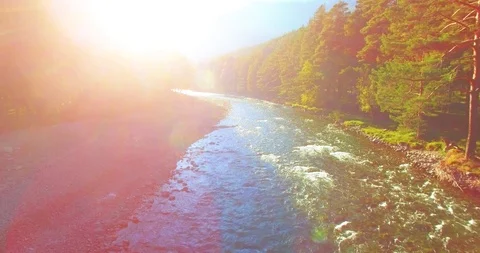 Mid air flight over fresh and clean mountain river at sunny summer morning Stock Footage 116421768