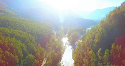 Mid air flight over fresh mountain river and meadow at sunny summer morning Stock Footage 128727158