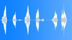Mid fast hinge creaksSound Effect