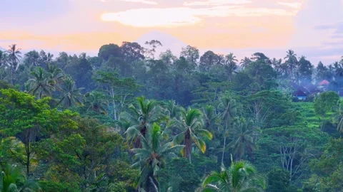 Mid flight to  Mount Agung- Video stock 274610627
