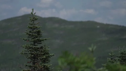 Mid focus landscape Stockbeeldmateriaal 171341209