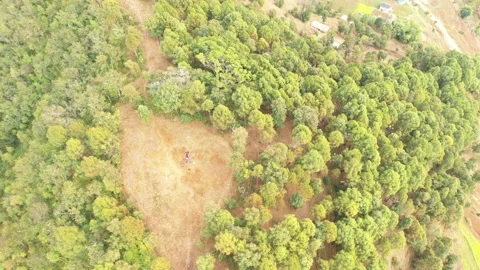 Mid jungle  field Stock Footage 170478167