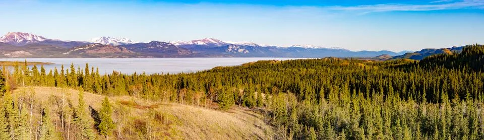 Mid-May Lake Laberge taiga landscape Yukon Canada Stock Photos