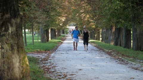 Mid middle aged couple walking in tree lined avenue park sunny day Stock Footage 94773791
