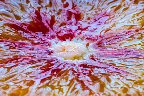 Mid-orange close-up, texture Stock Photos