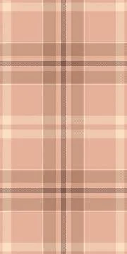 Mid plaid fabric vector, scrap textile background pattern. Female seamless .. 库存插图