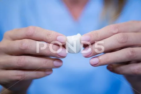 Mid Section Of Dentist Holding An Artificial Tooth