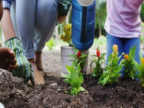 Mid-section of a family gardening together Stock Footage