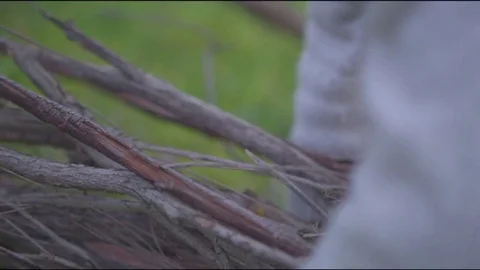Mid section of man carrying firewood in forest Stock Footage 76101827