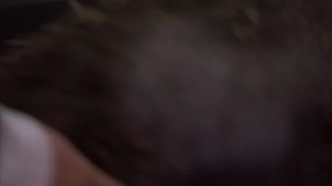 Mid section of worker preparing tea leaves in the factory Stockbeeldmateriaal 88545183