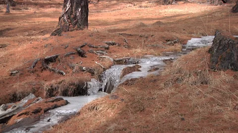 Mid shot of an early spring creek Stock Footage 37858129