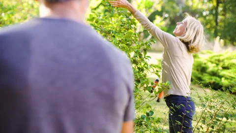 Mid-shot front view of cheerful group of coworkers reviewing details of Stock Footage 278018152
