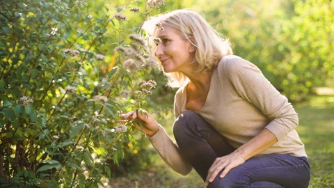 Mid-shot front view of cheerful group of coworkers reviewing details of Stock Footage 278018224