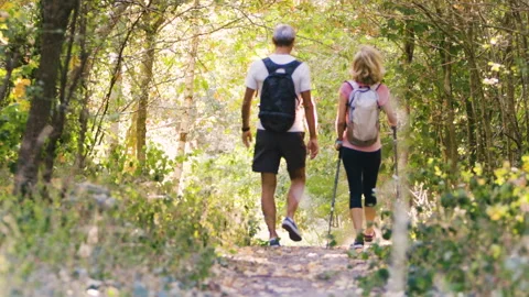 Mid-shot front view of cheerful group of coworkers reviewing details of Stock Footage 278018711