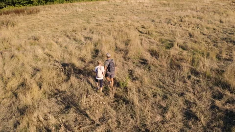 Mid-shot front view of cheerful group of coworkers reviewing details of Stock Footage 278019165